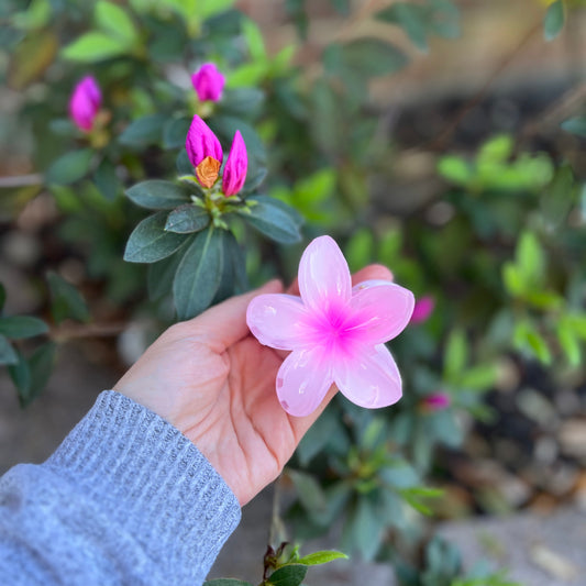 🌸✨ Blossom Hair Clip