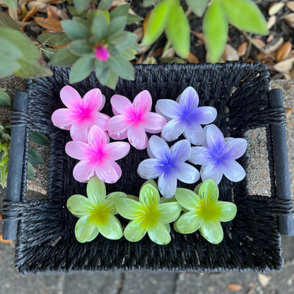 🌸✨ Blossom Hair Clip